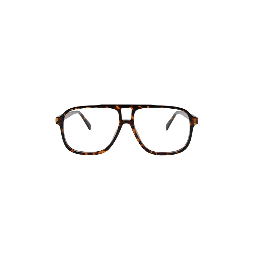 MODEL 02